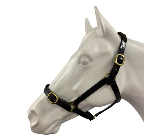 Showcraft - PVC Brass Halter 1&quot;