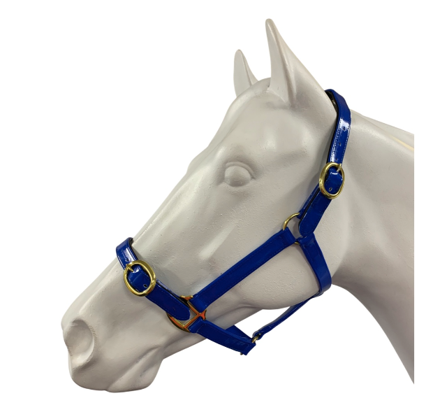 Showcraft - PVC Brass Halter 1"