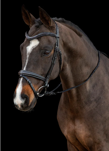Monza Bridle