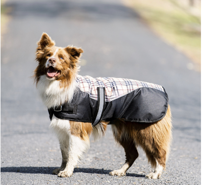 Eureka Classic Check Dog Coat