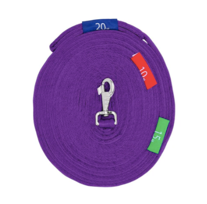 Lunge Lead w/Circle Markers Purple