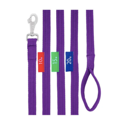 Lunge Lead w/Circle Markers Purple
