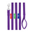Lunge Lead w/Circle Markers Purple