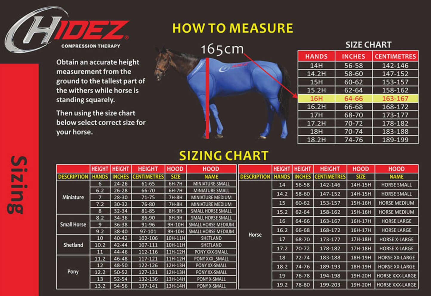 Hidez Equine Compression Hood