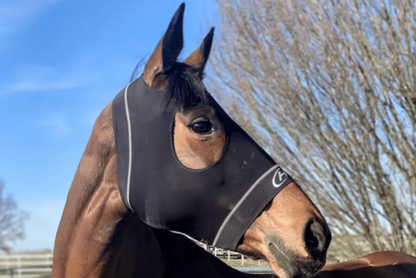 Hidez Equine Compression Hood