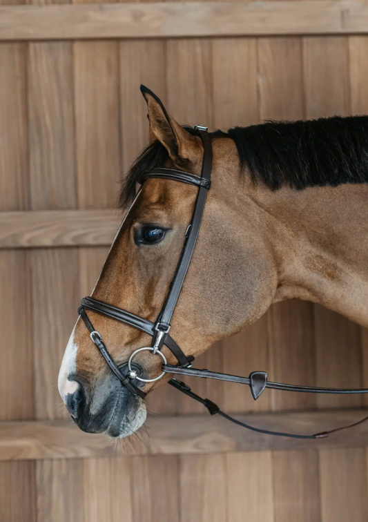 By Dyon Training Bridle