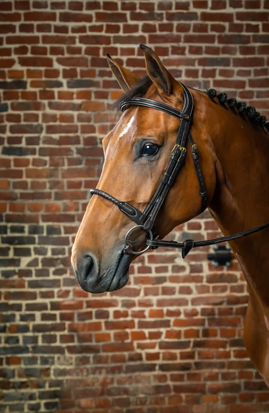 Dyon Cov Rope Noseband Bridle