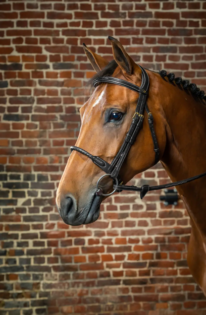 Dyon Leather Covered Rope Noseband Bridle