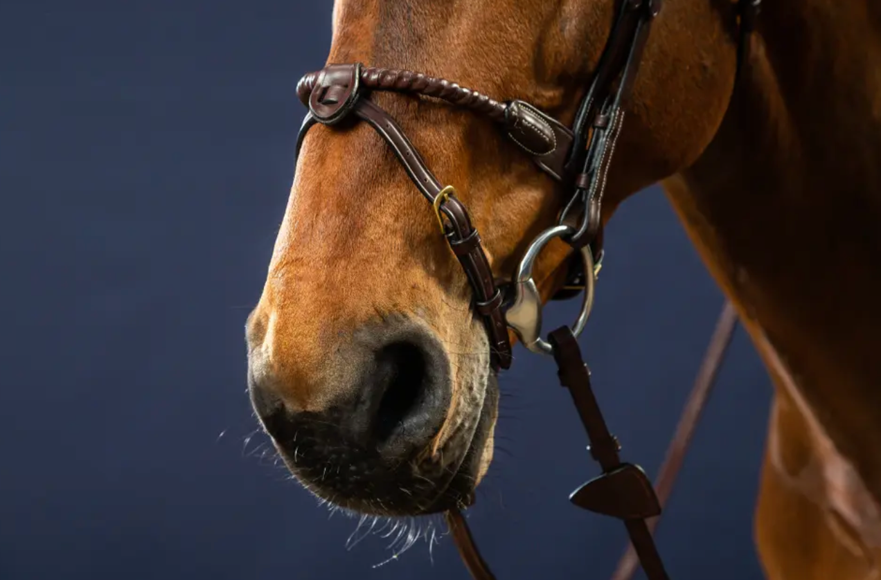 Dyon Leather Covered Rope Noseband Bridle