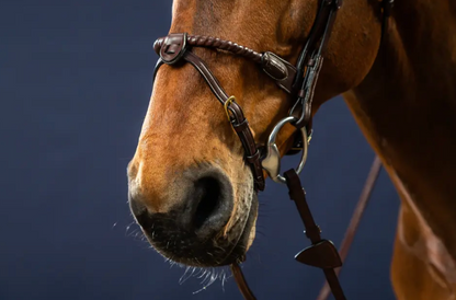 Dyon Leather Covered Rope Noseband Bridle