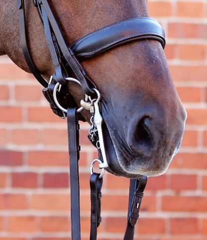 Belle Equestrian Prince Double Bridle