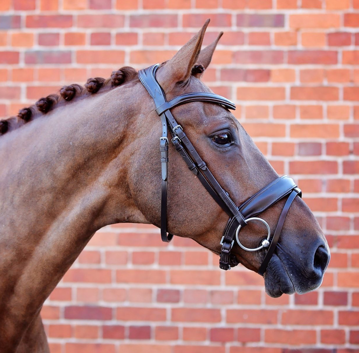 Belle Equestrian Prince Snaffle Bridle