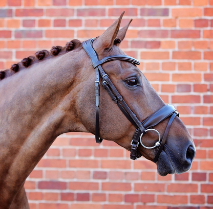 Belle Equestrian Prince Snaffle Bridle