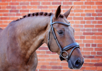 Belle Equestrian Prince Snaffle Bridle