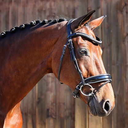 Belle Equestrian Countess Snaffle Bridle