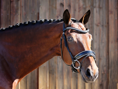 Belle Equestrian Countess Snaffle Bridle