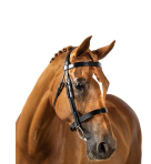 Flexible Fit Show Bridle Gel w/Reins