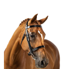 Flexible Fit Show Bridle Gel