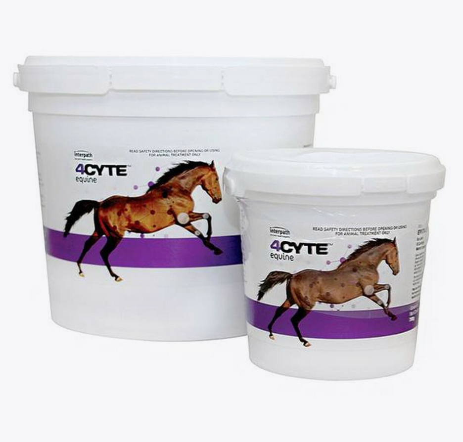 4 Cyte Equine Granules