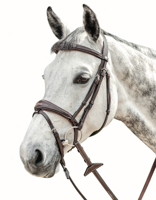 Prestige E141 English Bridle with Embroidery Browband