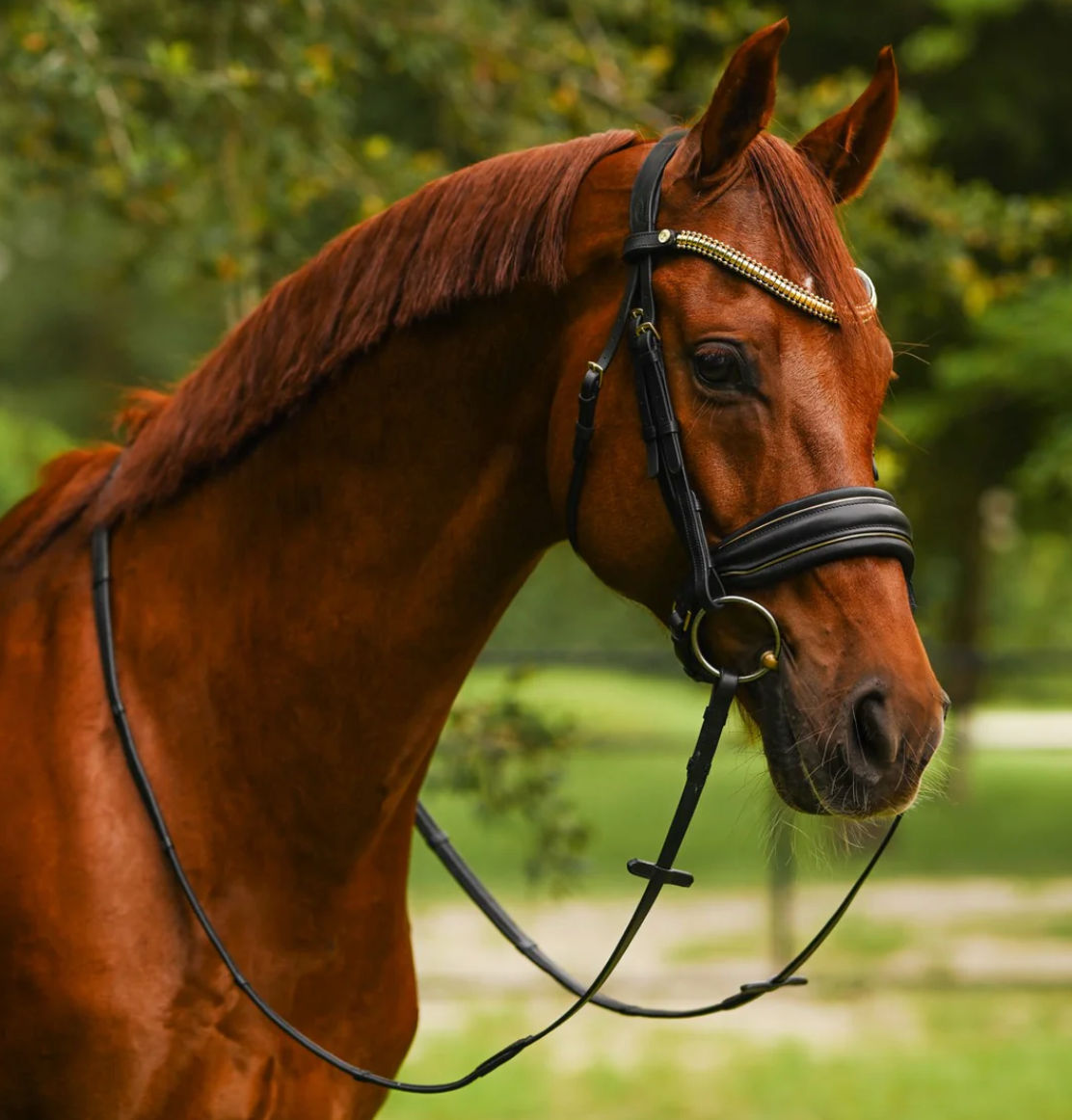 Lumiere Delta Bridle Cavesson