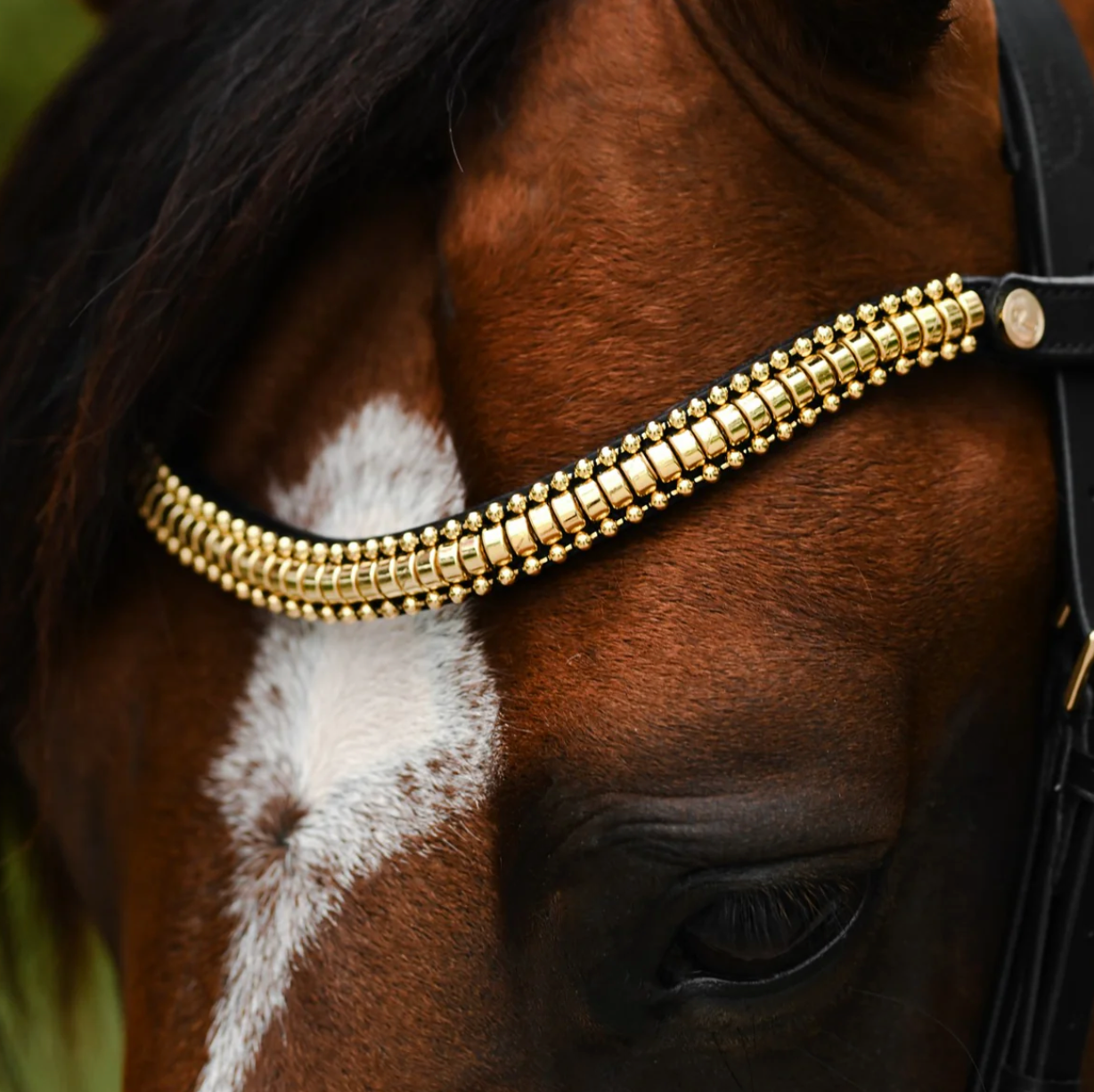 Lumiere Delta Bridle Cavesson