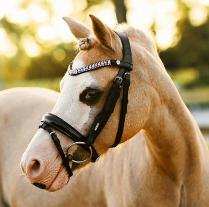 Lumiere Unicorn Bridle