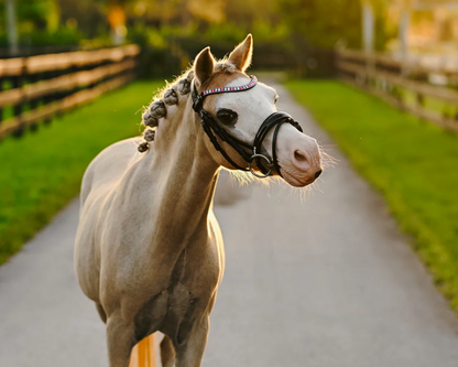 Lumiere Unicorn Bridle