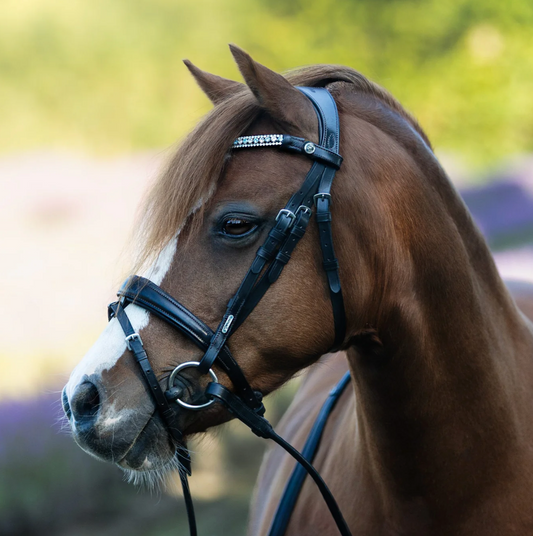 LUMIERE ANASTASIA BRIDLE (CONVERTIBLE)