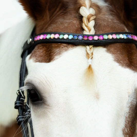 Lumi Rainbow Browband