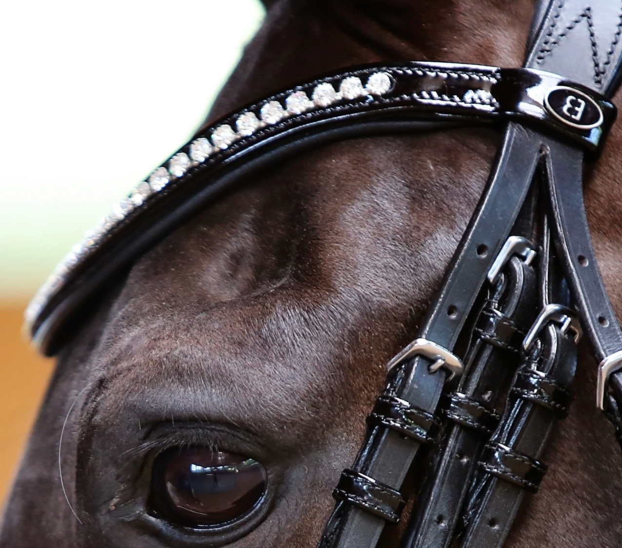 Belle Equestrian Countess Browband