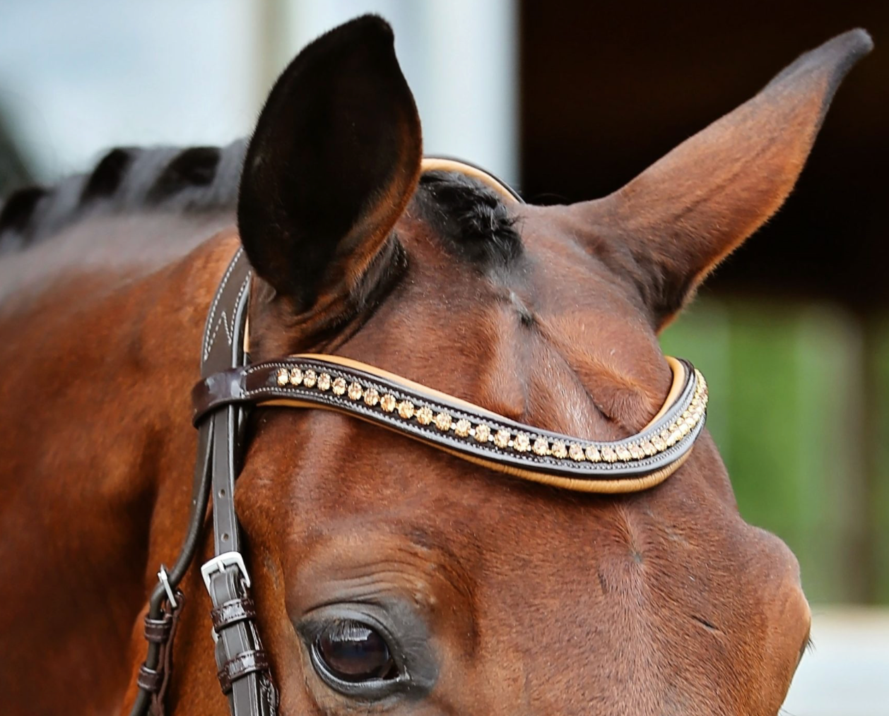 Belle Equestrian Noble Browband