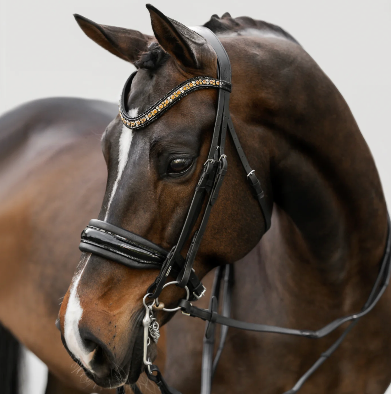 Lumiere 'Ariana' Bridle Double