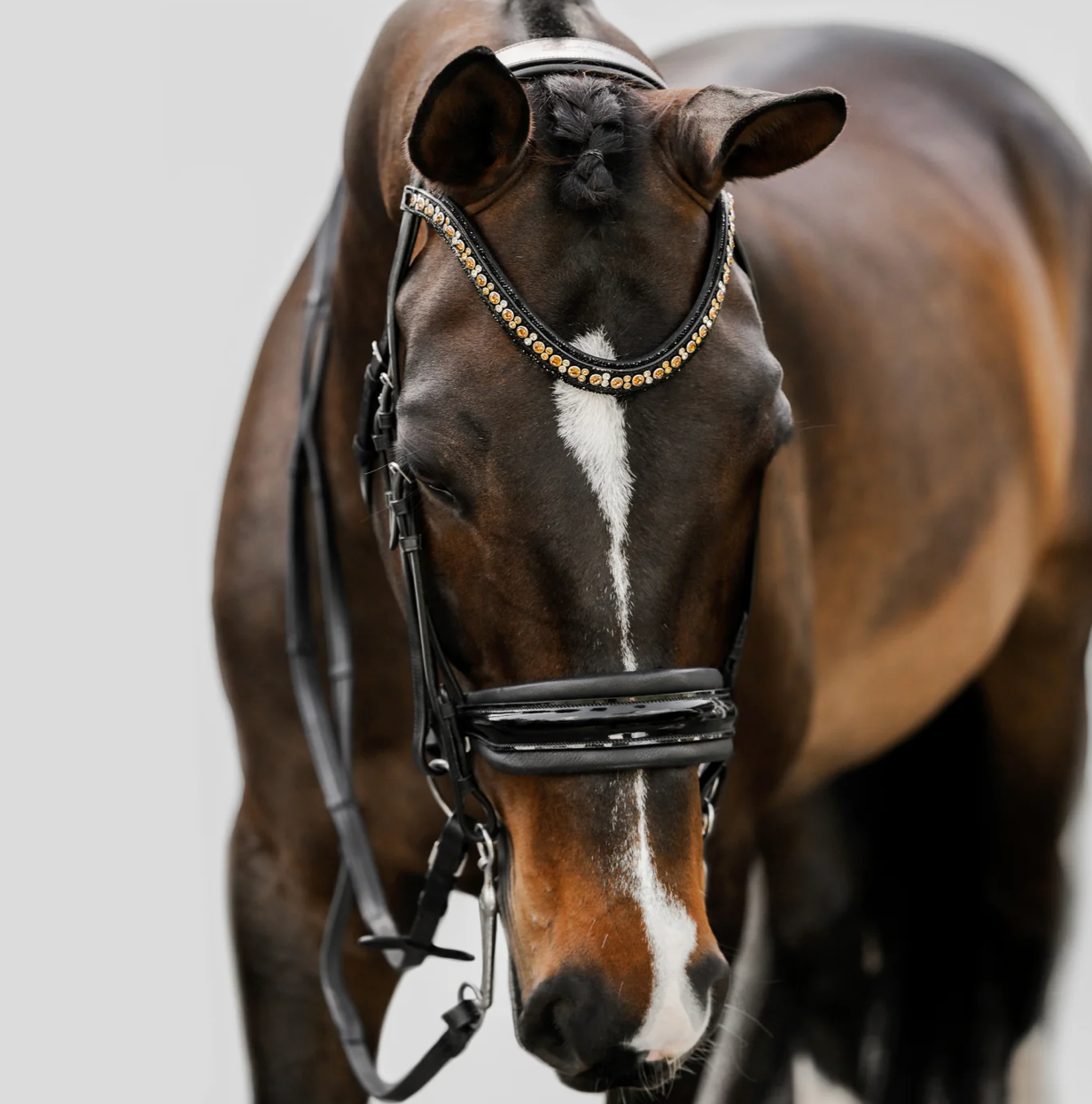 Lumiere 'Ariana' Bridle Double