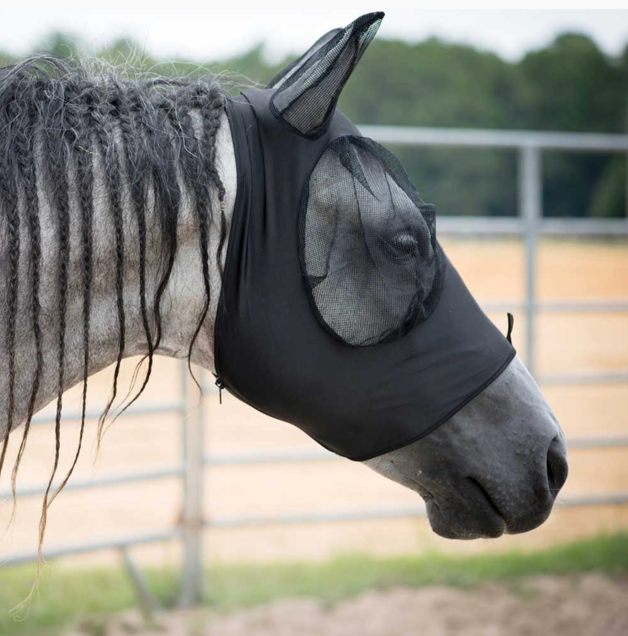 Lami-Cell Lycra Fly Mask