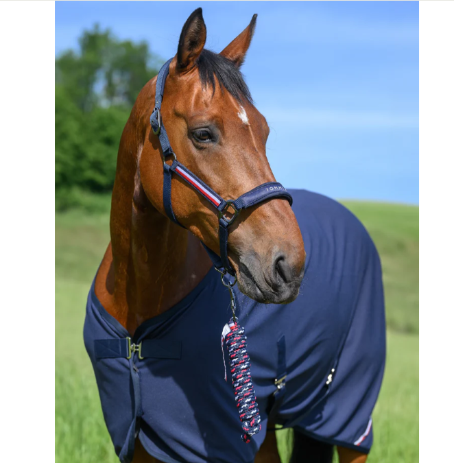 Tommy Hilfiger - Lincoln Halter