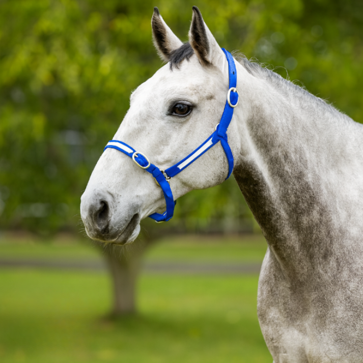EquestPRO PVC Overlay Halter