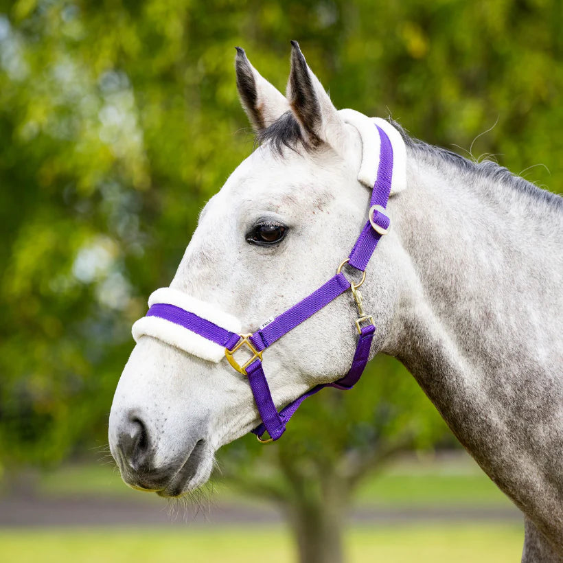 Eureka - Fleece Backed Halter