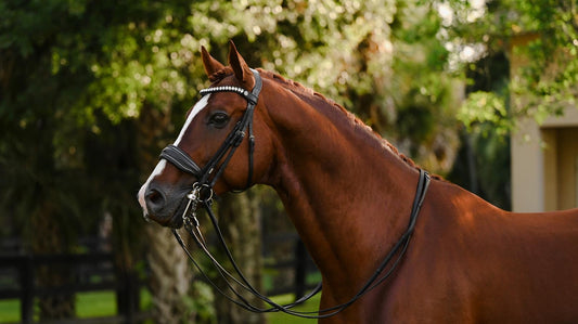 Lumiere - Diva Double Bridle