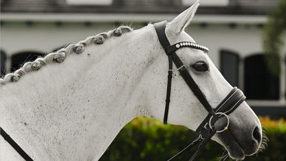 Lumiere - Diva Cavesson Bridle