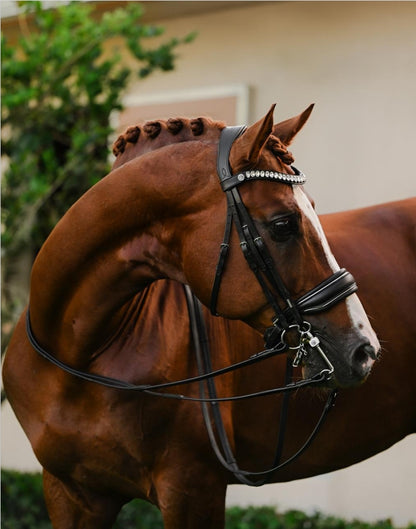 Lumiere - Diva Double Bridle