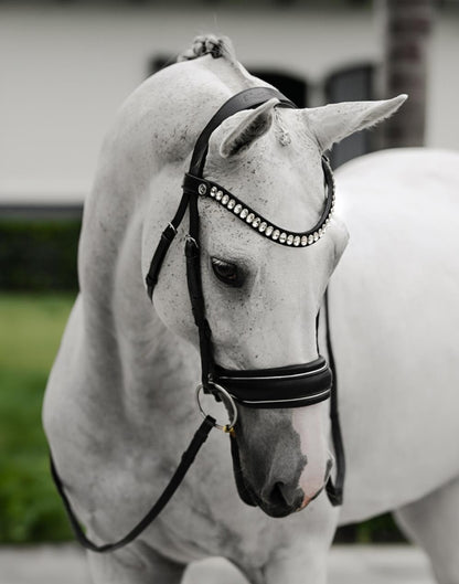 Lumiere - Diva Cavesson Bridle