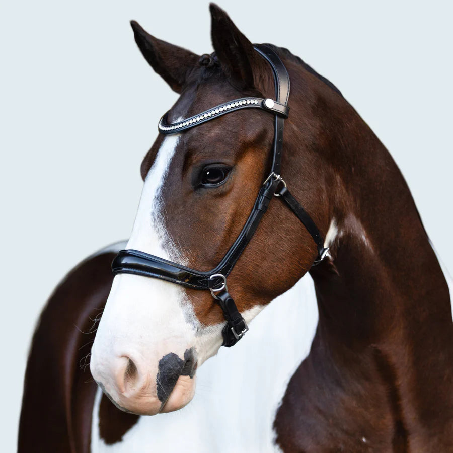 Lumiere Symphony Bitless Bridle Black