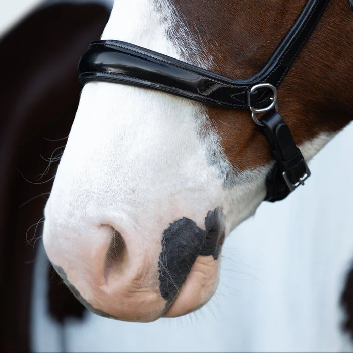 Lumiere Symphony Bitless Bridle Black