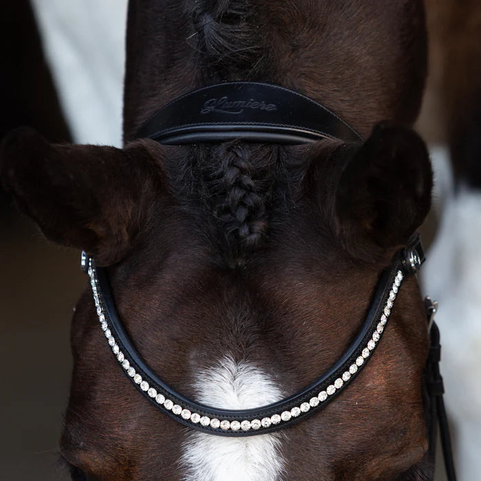 Lumiere Symphony Bitless Bridle Black