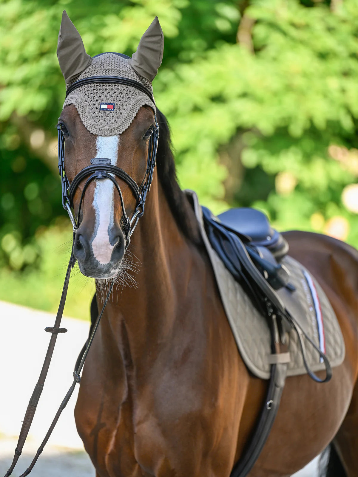 T/H LEXINGTON EAR BONNET