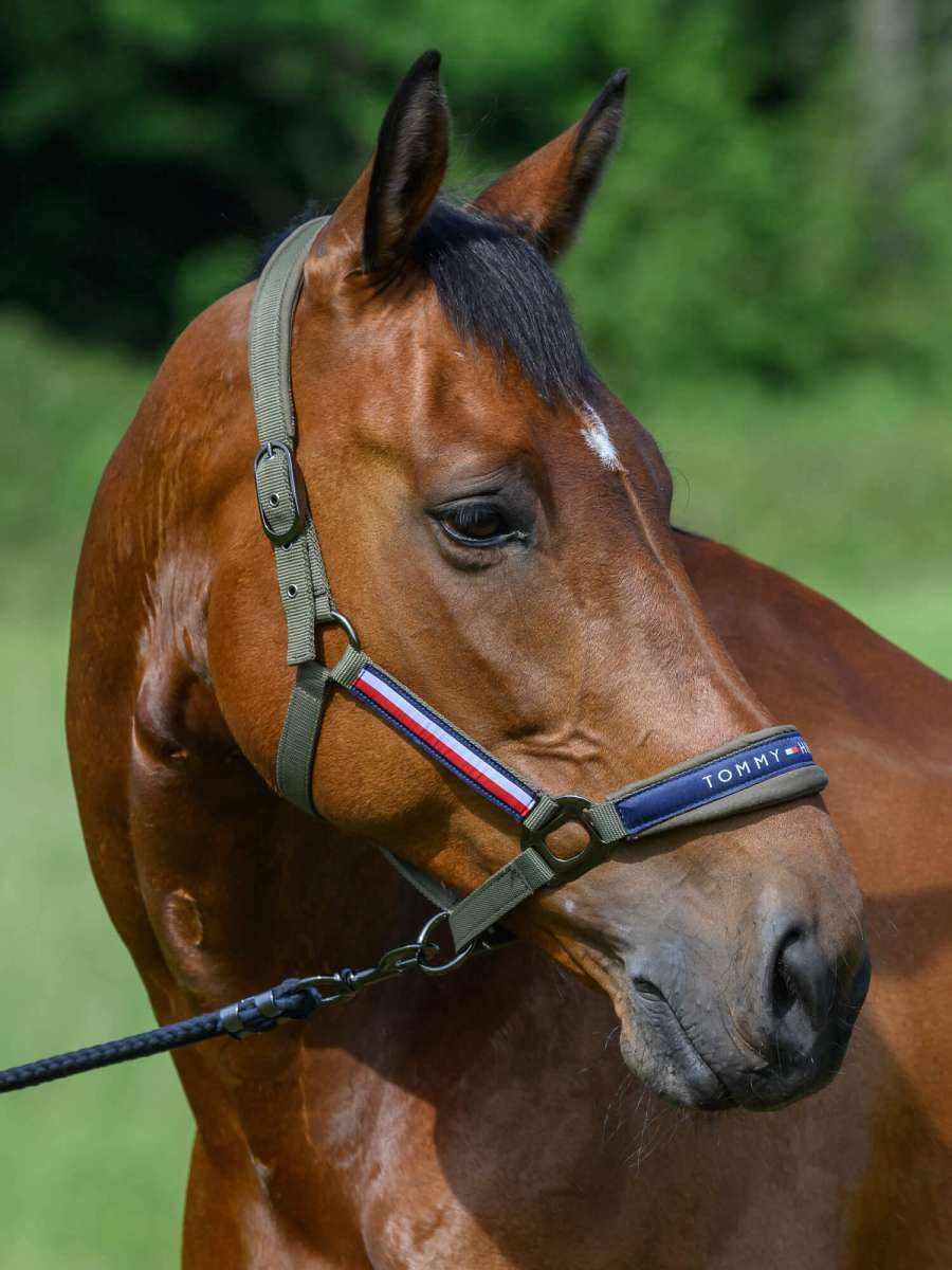 Tommy Hilfiger - Lincoln Halter