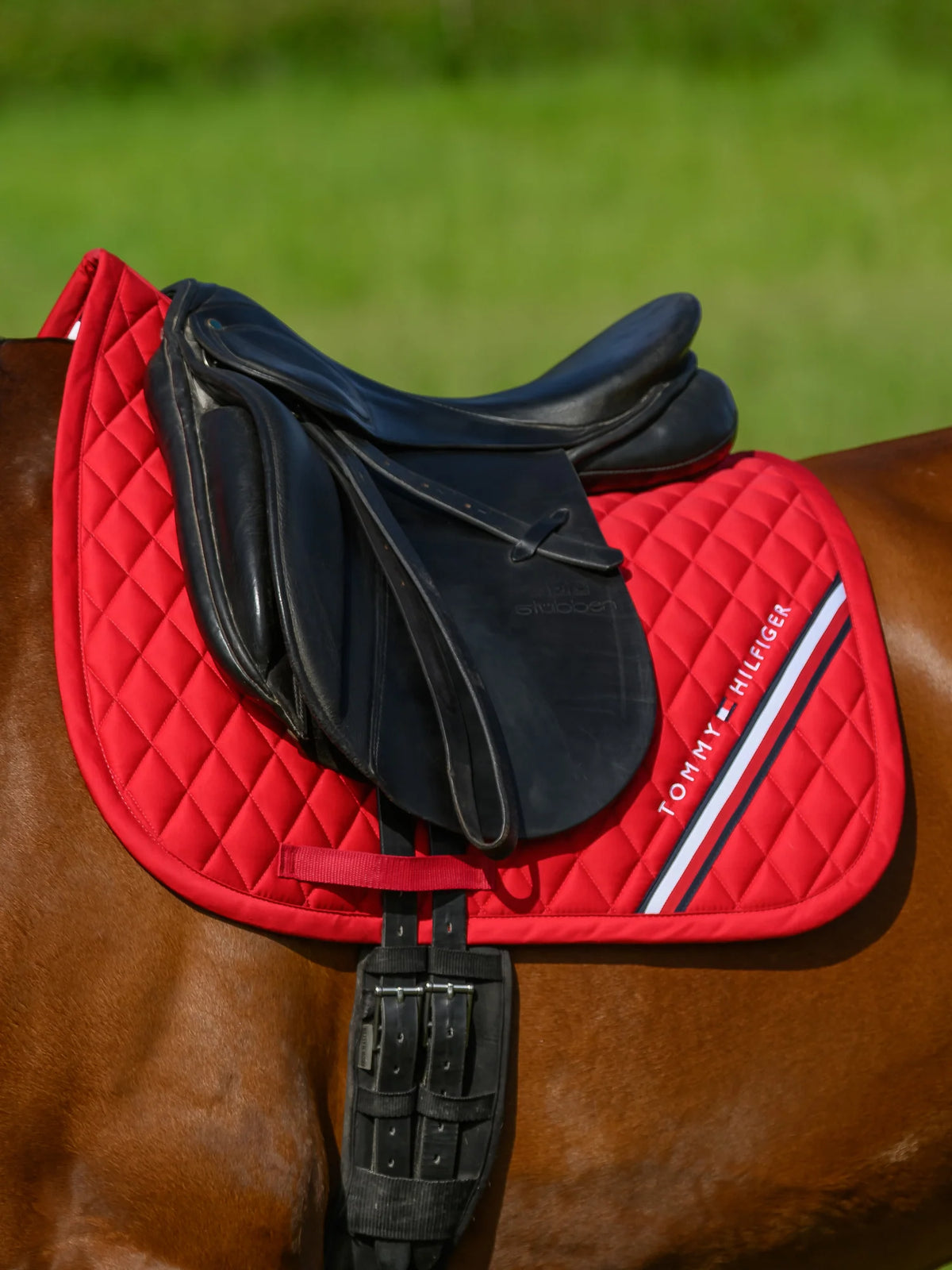 Tommy Hilfiger - Stanford Dressage Saddle Pad.