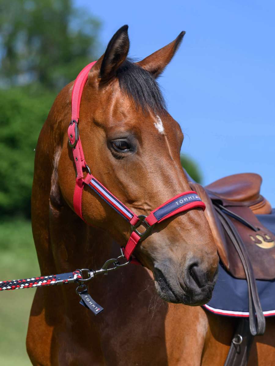 Tommy Hilfiger - Yale Set Halter