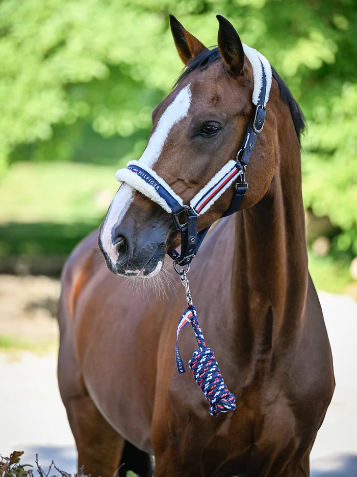 Tommy Hilfiger Kennedy Set Fur Halter & Lead Rope